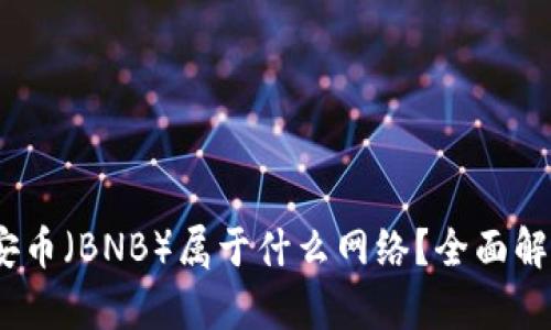 TP冷钱包：币安币（BNB）属于什么网络？全面解析及使用指南