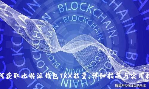 如何获取比特派钱包TRX能量：详细指南与实用技巧