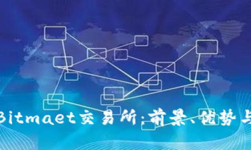 深入探讨Bitmaet交易所：前景、优势与市场影响