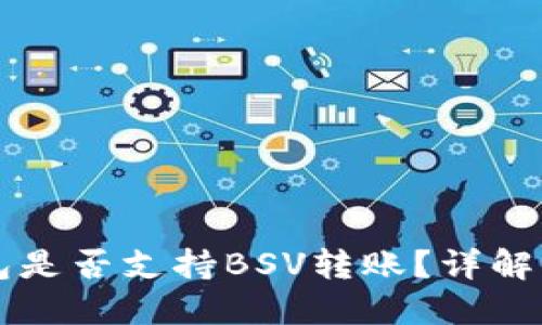 比特派钱包是否支持BSV转账？详解与使用指南