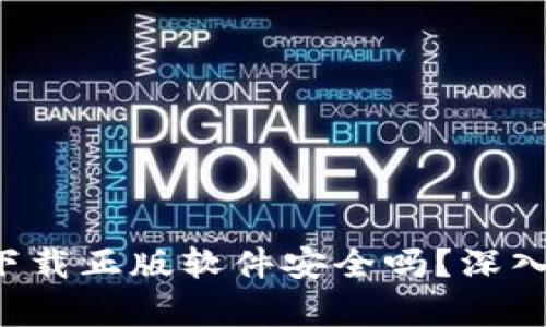 b特派官网下载正版软件安全吗？深入分析与指南