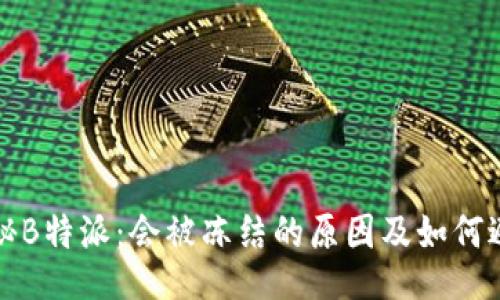 揭秘B特派：会被冻结的原因及如何避免