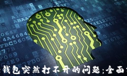 
如何解决Bitpie钱包突然打不开的问题：全面分析与解决方案