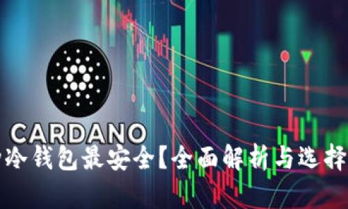 哪种冷钱包最安全？全面解析与选择指南