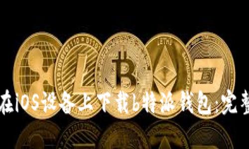 如何在iOS设备上下载b特派钱包：完整指南
