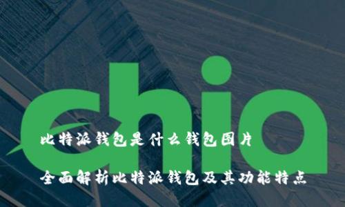比特派钱包是什么钱包图片

全面解析比特派钱包及其功能特点