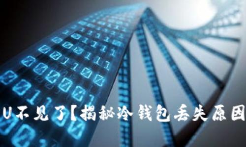 冷钱包里的U不见了？揭秘冷钱包丢失原因及解决方案