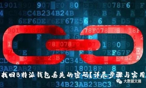 如何找回B特派钱包丢失的密码？详尽步骤与实用建议