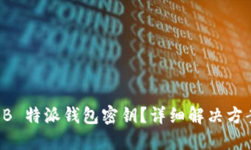 忘记 B 特派钱包密钥？详细解决方案指南