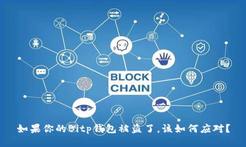 如果你的Bitp钱包被盗了，该如何应对？