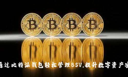 如何通过比特派钱包轻松管理BSV，提升数字资产安全性