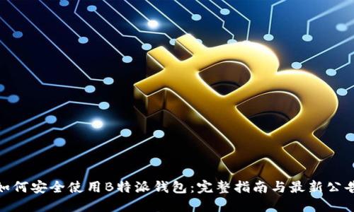  如何安全使用B特派钱包：完整指南与最新公告 