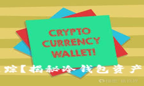 冷钱包怎么追踪？揭秘冷钱包资产的安全与管理