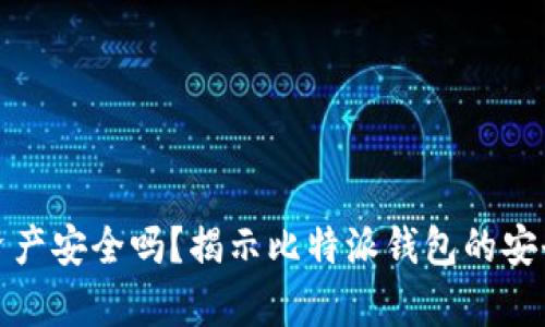 比特派存资产安全吗？揭示比特派钱包的安全性与风险