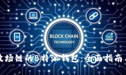 如何创建波场链的B特派钱包：全面指南与流程详解