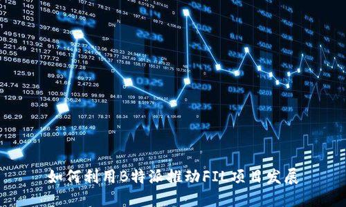 如何利用B特派推动FIL项目发展