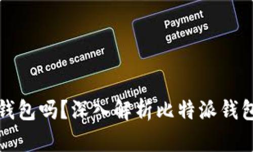 比特派钱包是热钱包吗？深入解析比特派钱包的功能与安全性