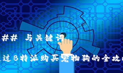 ### 与关键词

通过B特派购买宠物狗的全攻略