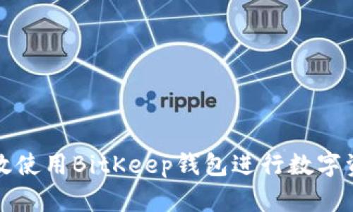 如何高效使用BitKeep钱包进行数字资产管理