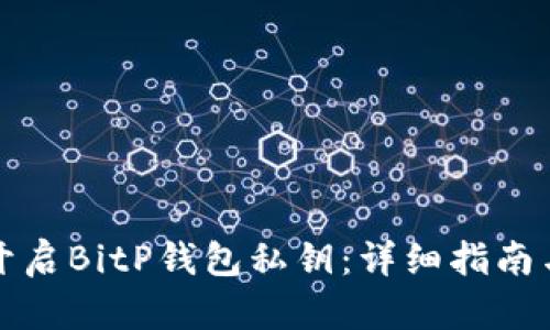 如何安全开启BitP钱包私钥：详细指南与最佳实践