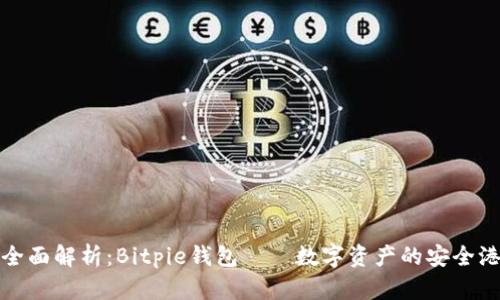 全面解析：Bitpie钱包——数字资产的安全港