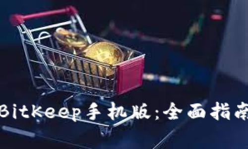 如何下载和使用BitKeep手机版：全面指南与常见问题解答